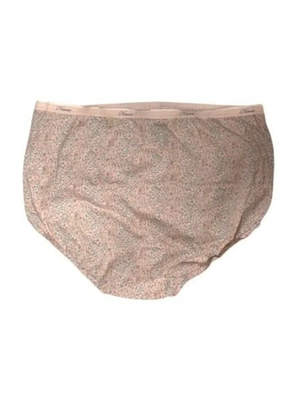 Hanes Women's Tagless Set of 5 Cotton Briefs 10/3XL